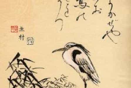 Taller - Haiku