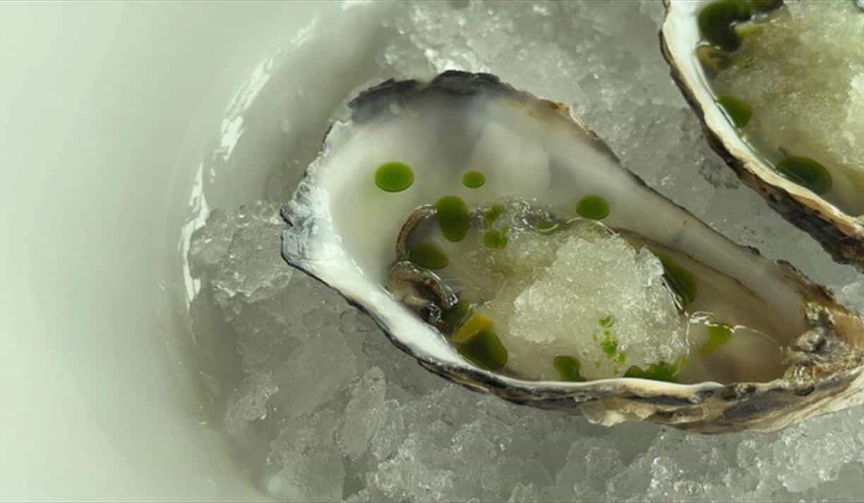 Oyster Opening Masterclass