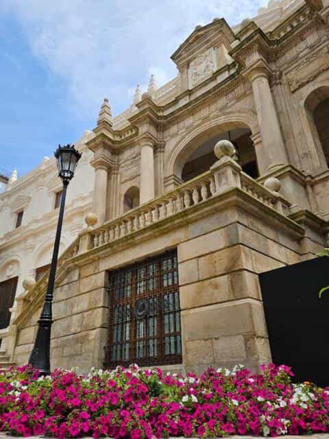 Visitas guiadas al Museo de Arte Moderno y Contemporáneo de Santander y Cantabria (MAS)