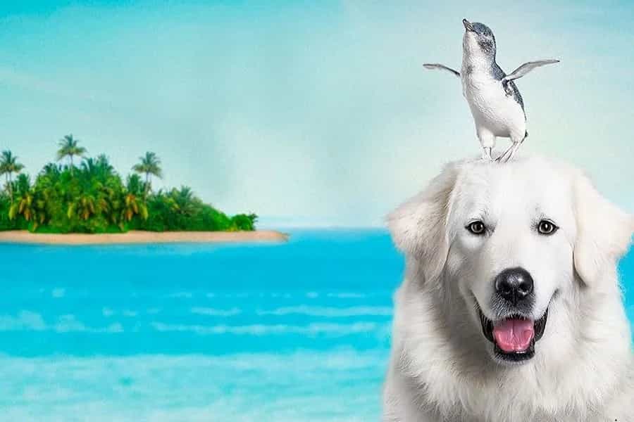 Proyección de la película Oker