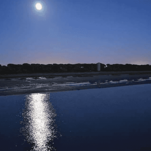 Ruta Nocturna Interpretada Los Toruños y Pinar de la Algaida