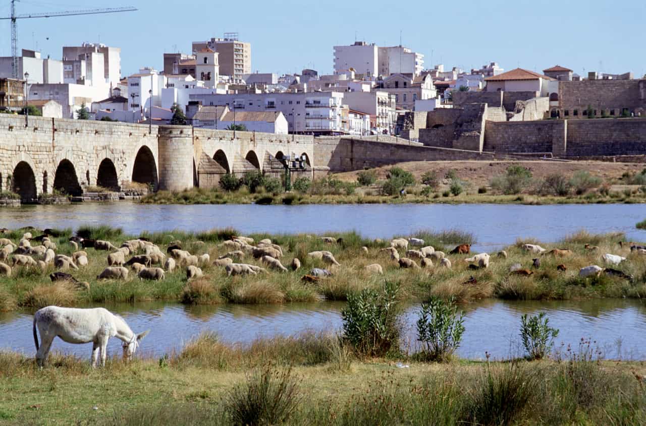 Iluminación del Puente Romano por el Día Mundial del Colangiocarcinoma