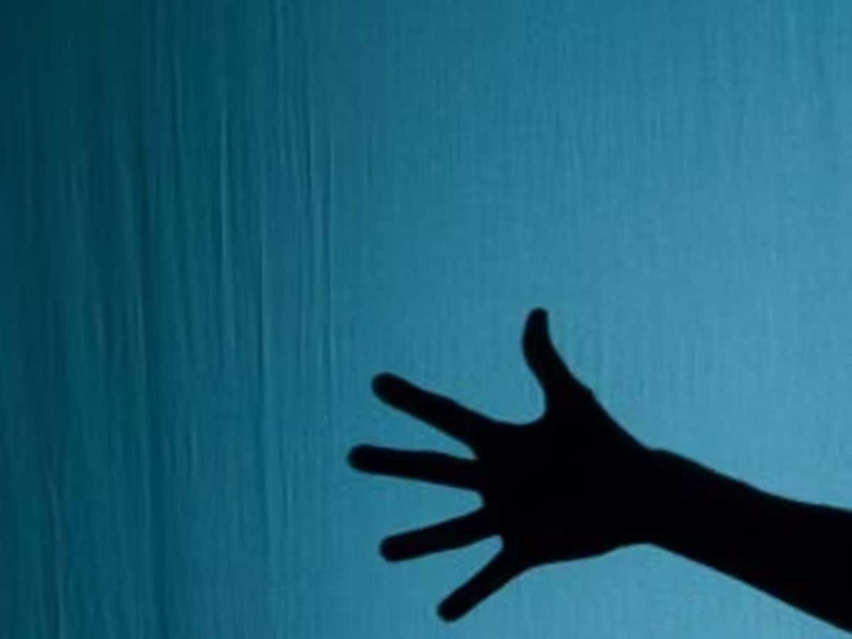 Hand Shadow Puppet Workshop with Drew Colby