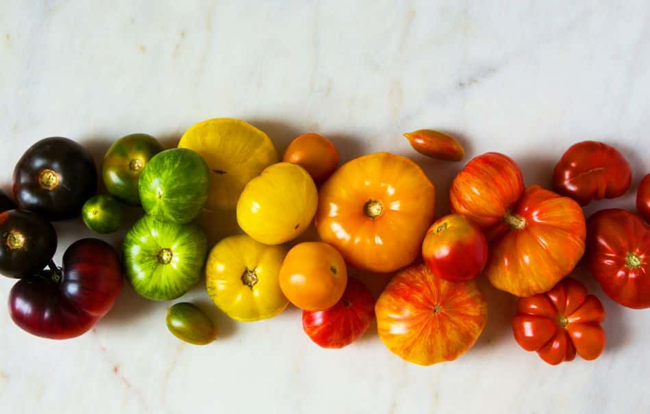Plant ID for Home Gardeners