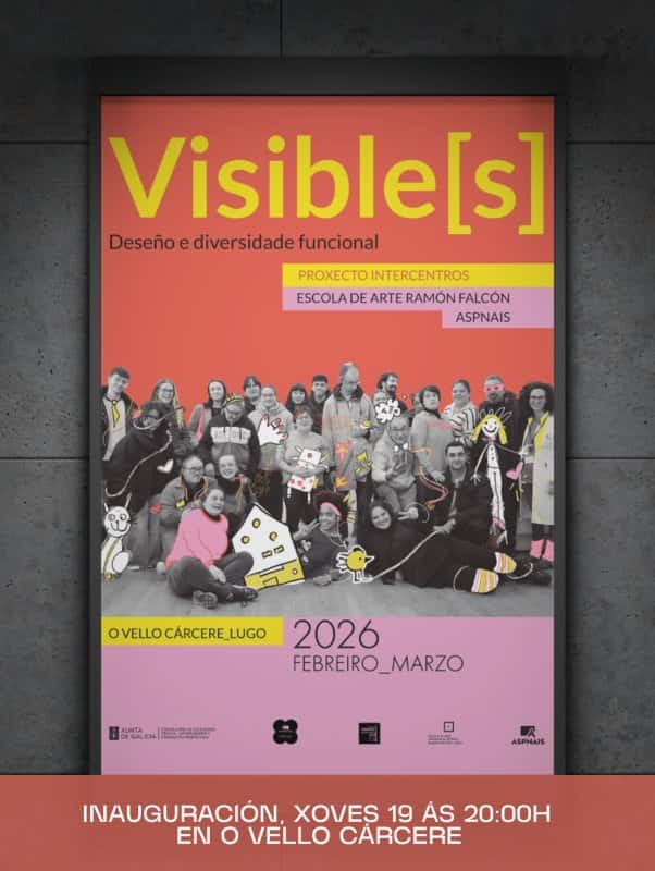 VISIBLE(S)_ 'deseño e diversidade funcional'
