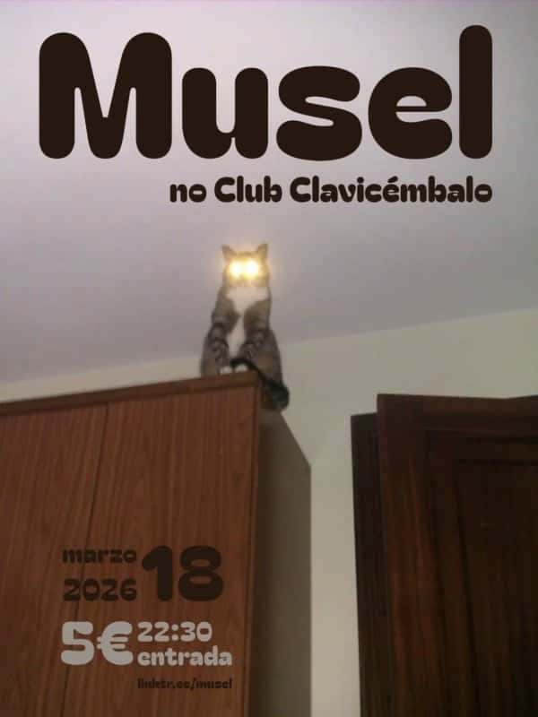Concierto de Musel