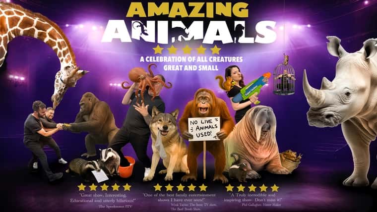 Amazing Animals