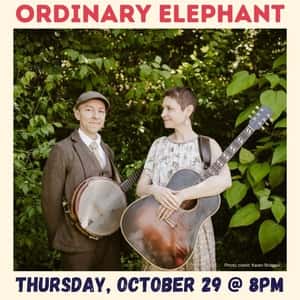 Ordinary Elephant