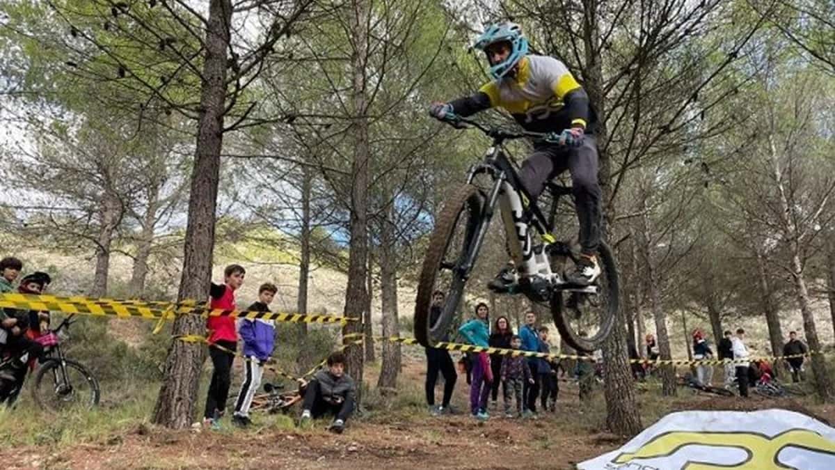 VI Mini Enduro MTB