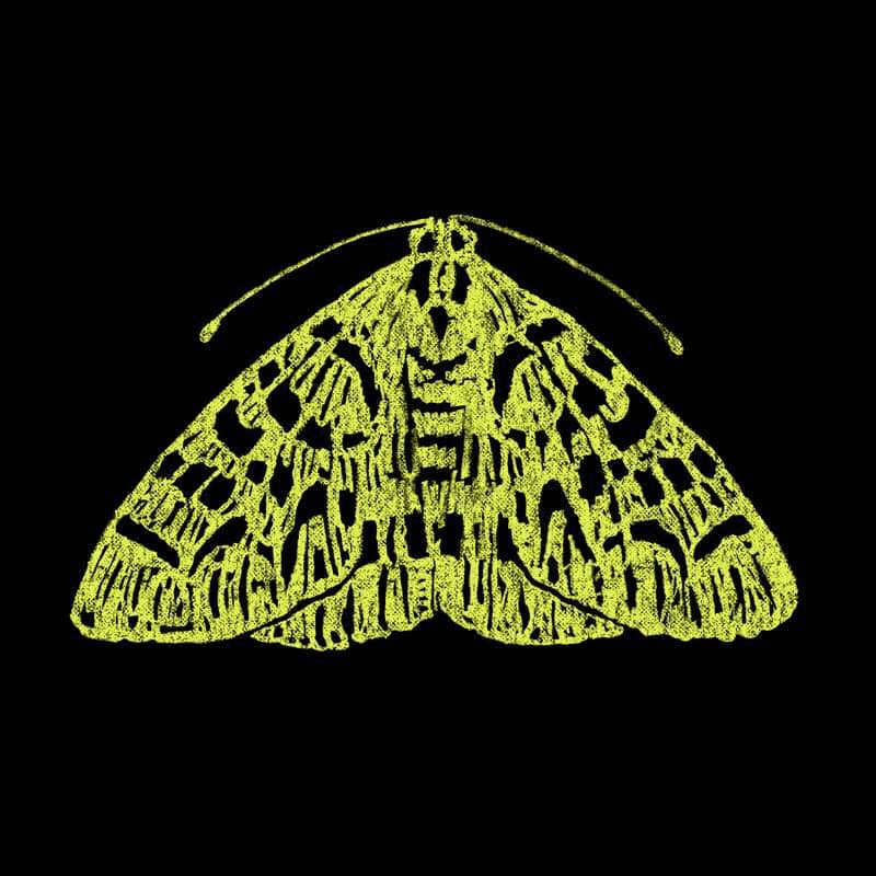 The Moth: Anything Goes