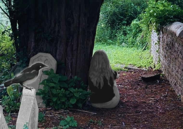 Seven for a Secret