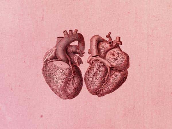 Thackray Insights: The Heart of the Matter