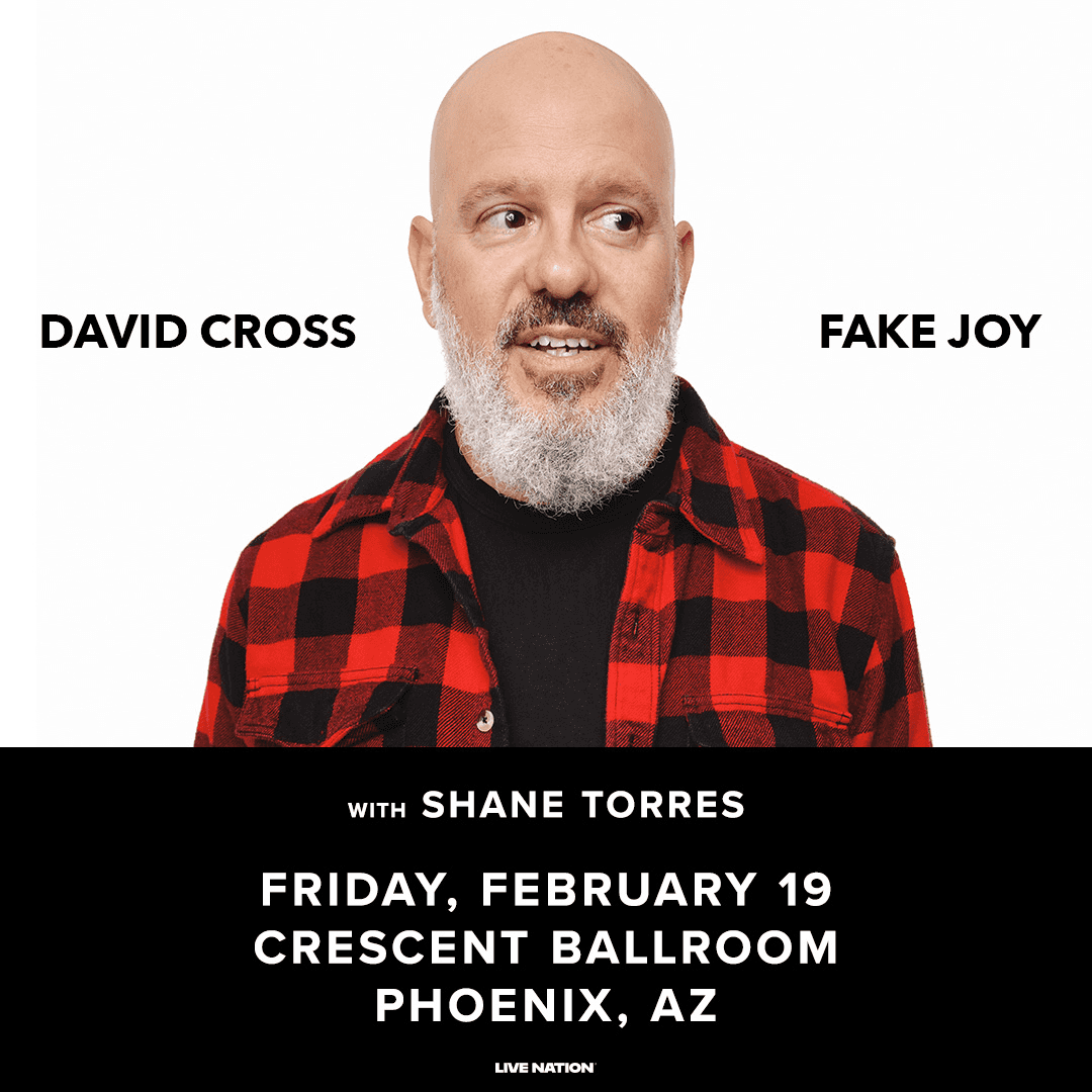 David Cross - Fake Joy