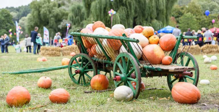 Haunted Hayride at Eagle Creek Park