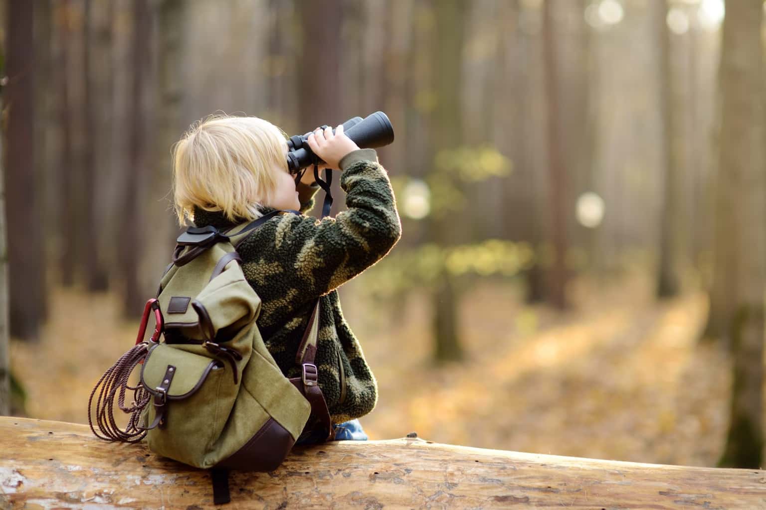 Let's Go Birding Together