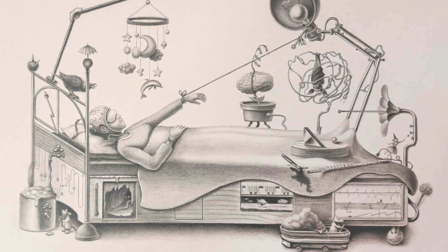 Armando Veve: Taxonomy of a Dream