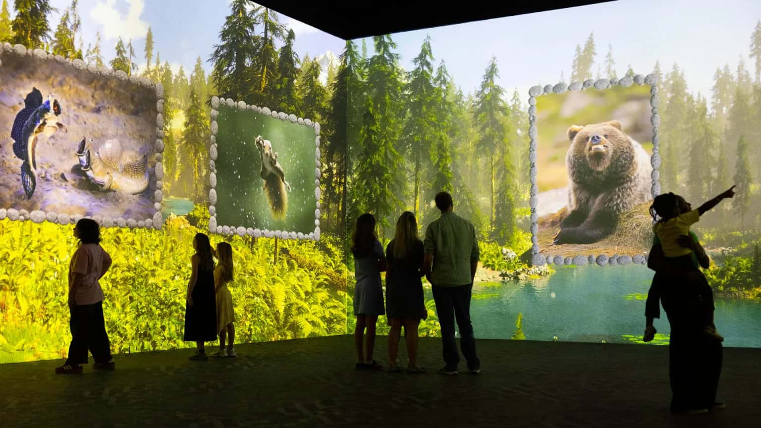 The Nikon Comedy Wildlife Awards