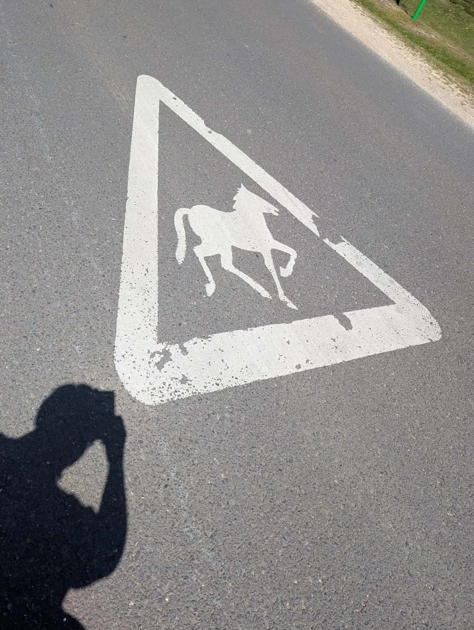 Cerys Bradley: On Road Signs