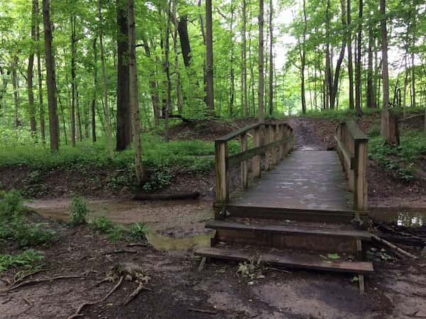 Hike with a Naturalist