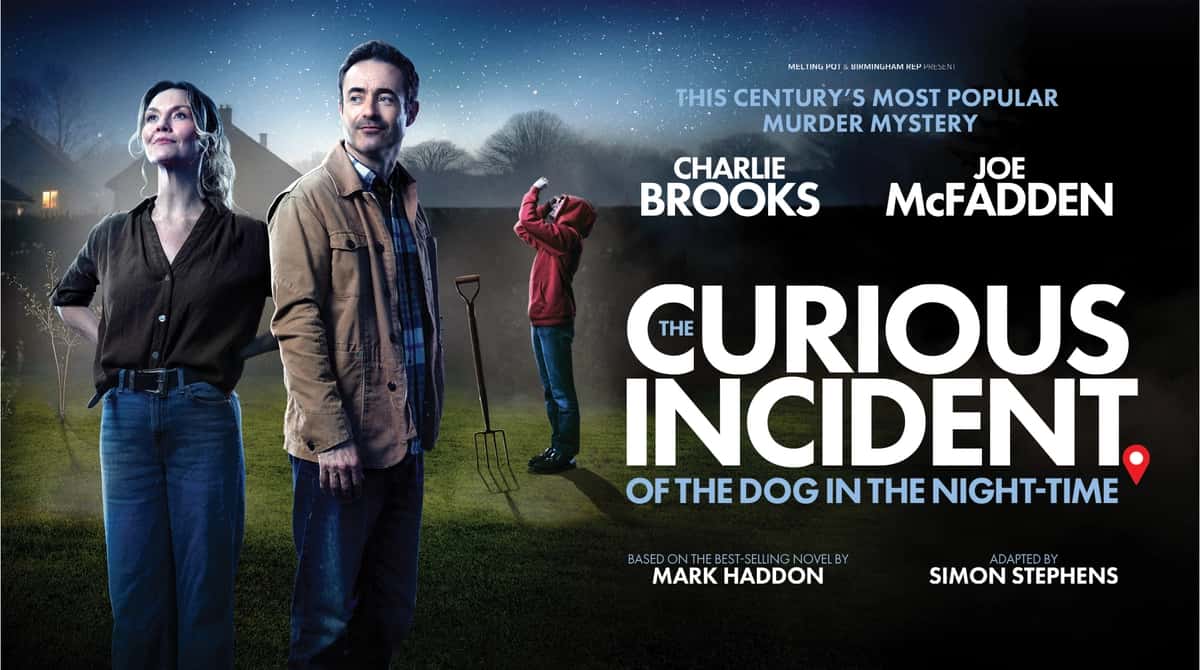 The Curious Incident of the Dog in the Night Time