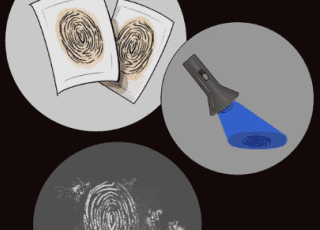 Super Science Saturday: Curiosity Clues