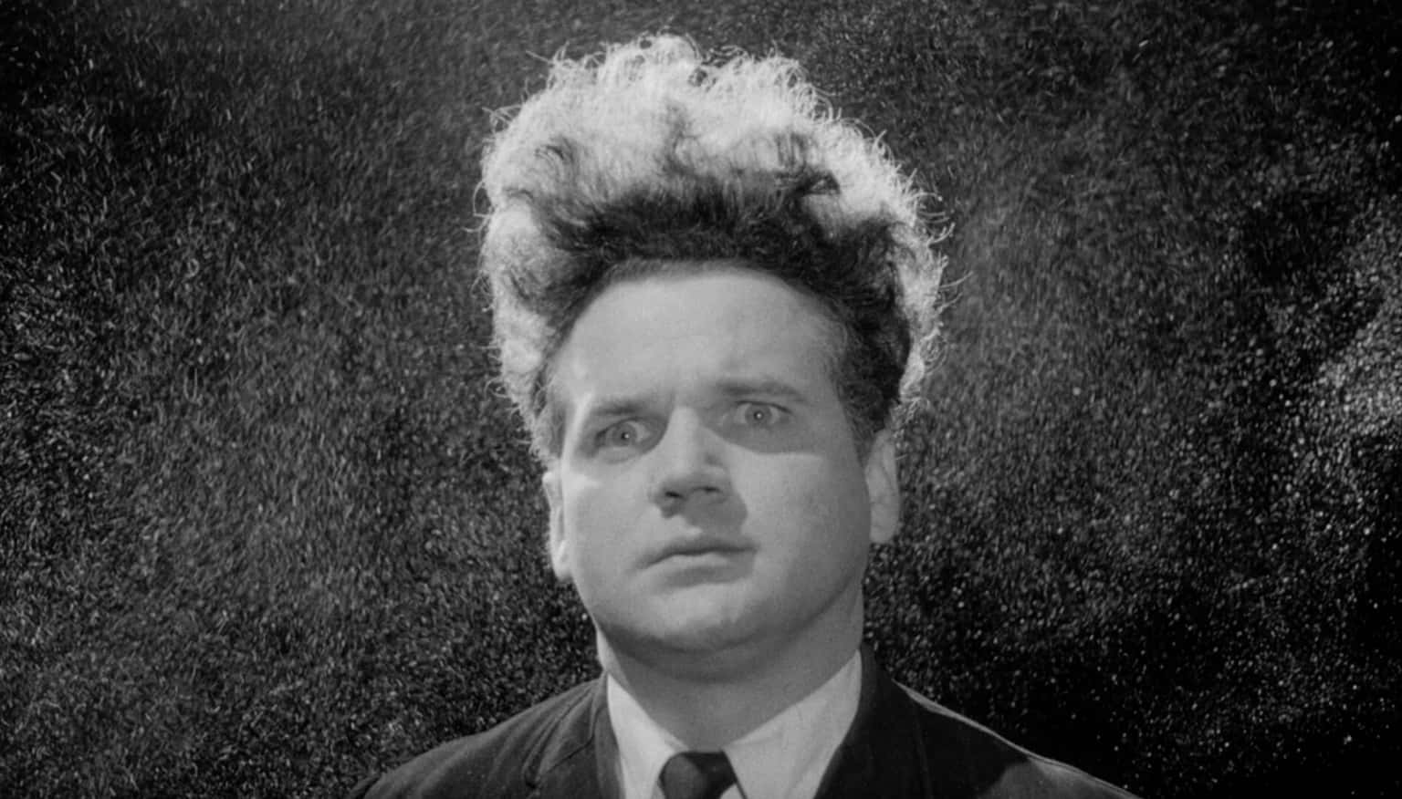 Eraserhead (1977) x Fresh Cut Flowers