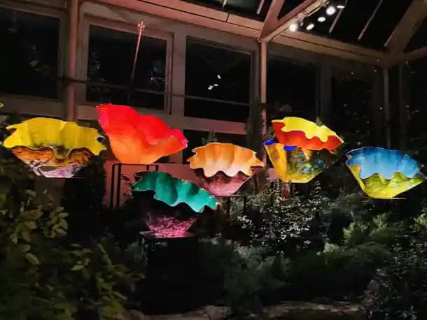 Chihuly Nights
