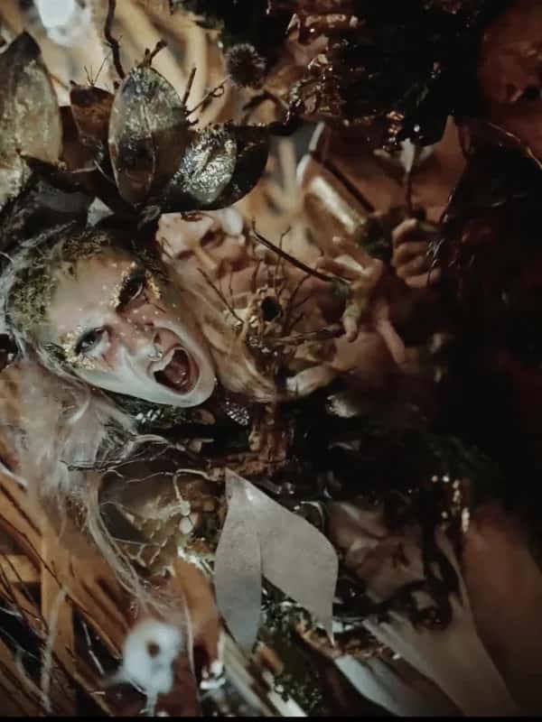 Hide and Shriek