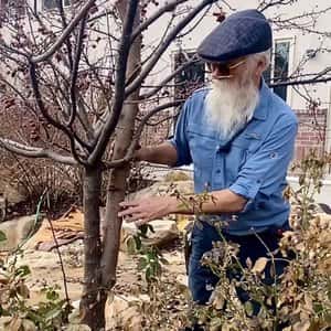 Your Landscape 101: Growing Success in Utah's Soil
