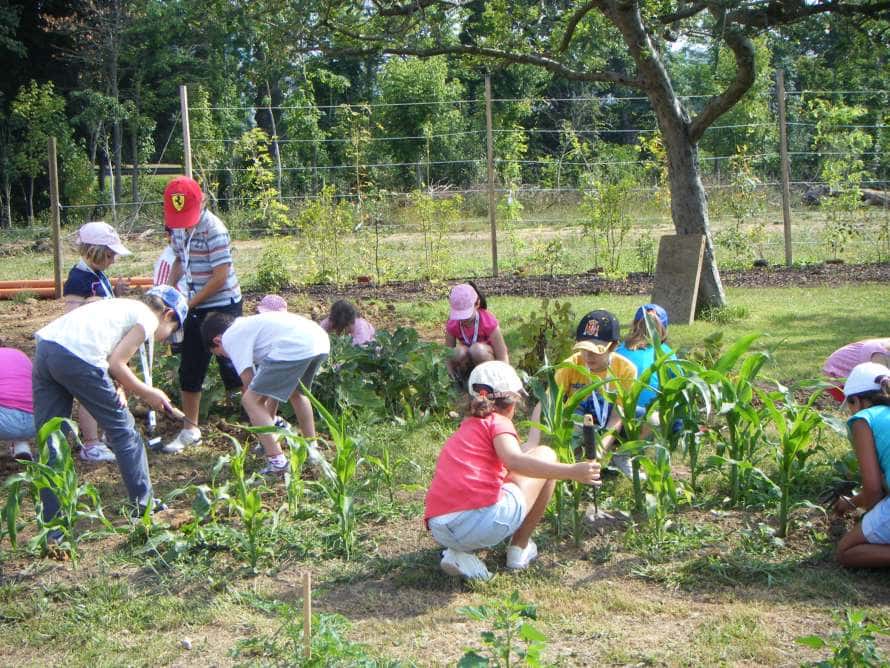 Taller familiar: ¡Manos a la huerta!