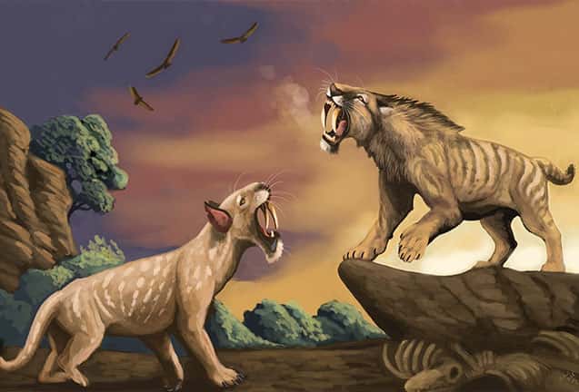 OMSI Science Pub: Nature's Copycat: Convergent Evolution Throughout Time