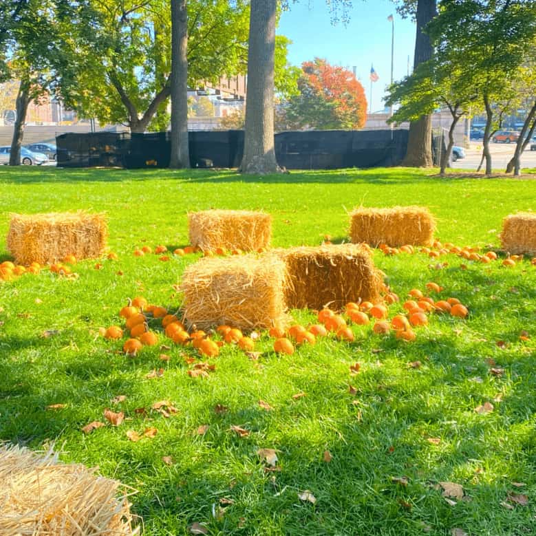 Pumpkin Patch at Franklin Square