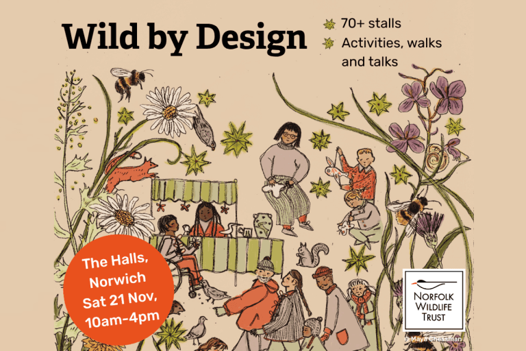 Wild by Design: Festival of Nature and Creativity