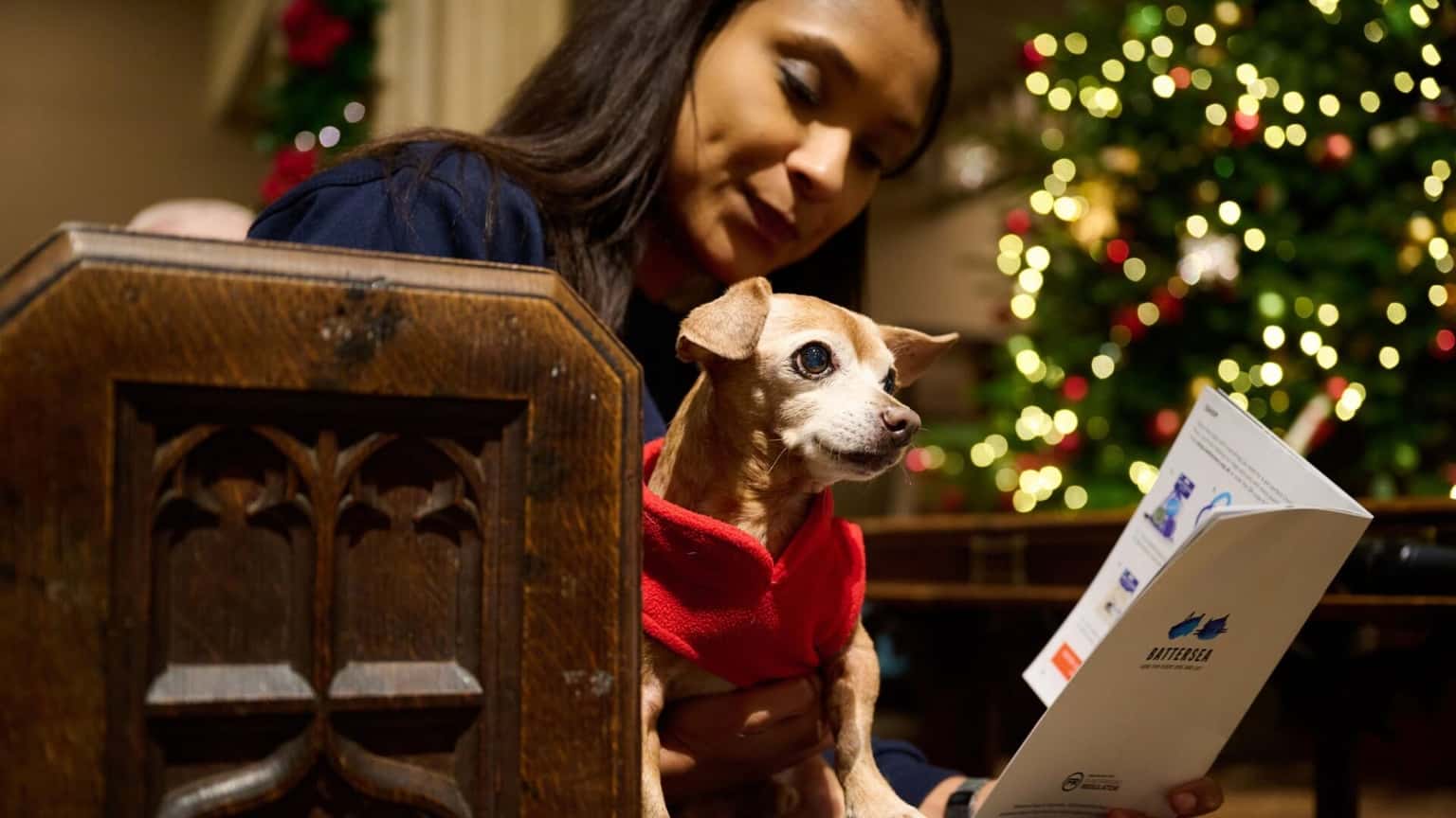 Battersea Dogs Home Christmas Carols