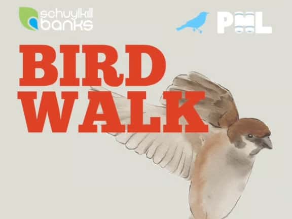 Bartram's Mile Fall Bird Walk