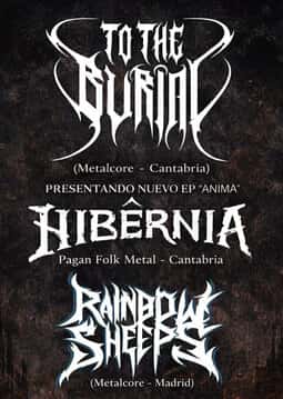 To The Burial, Hibernia y Rainbow Sheeps