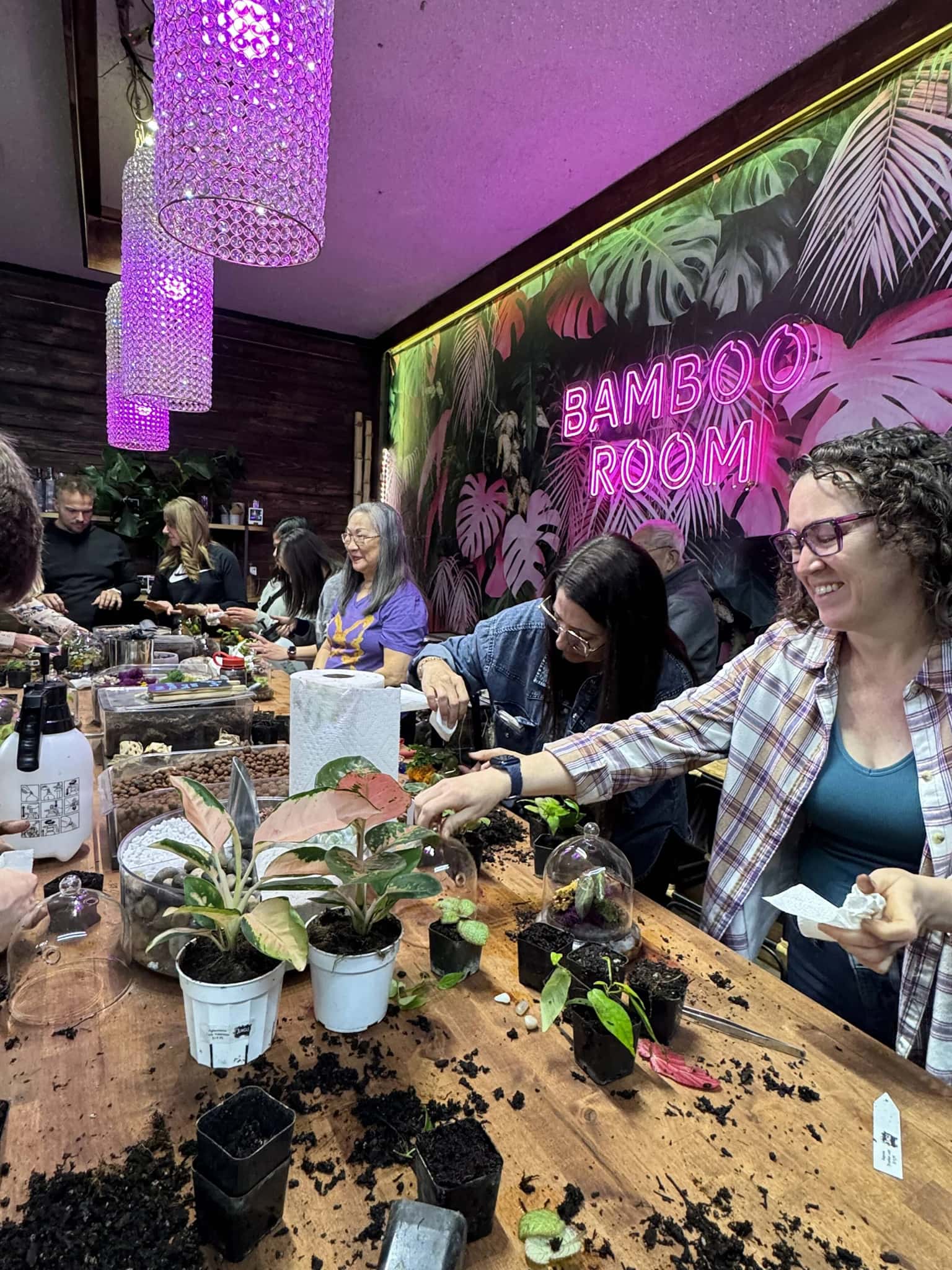 Jungle Box: Plants, Terrariums and Dart Frogs