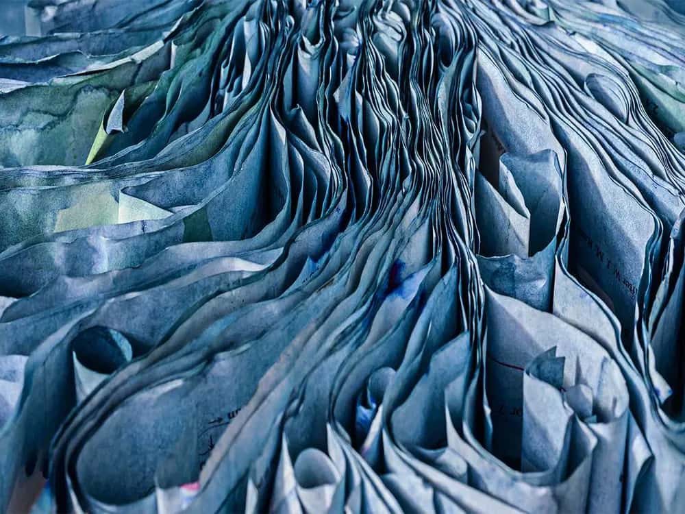 Cara Barer: Camera Work