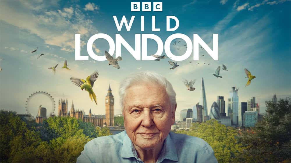 Dig Deeper: Behind the Lens of Wild London