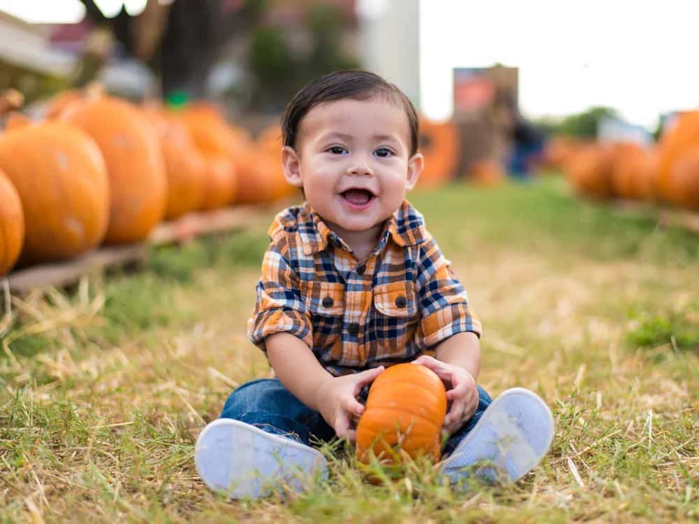 Driftwood Fall Festival