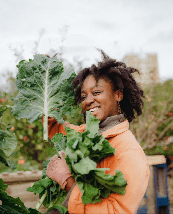 November's Herb Study Club