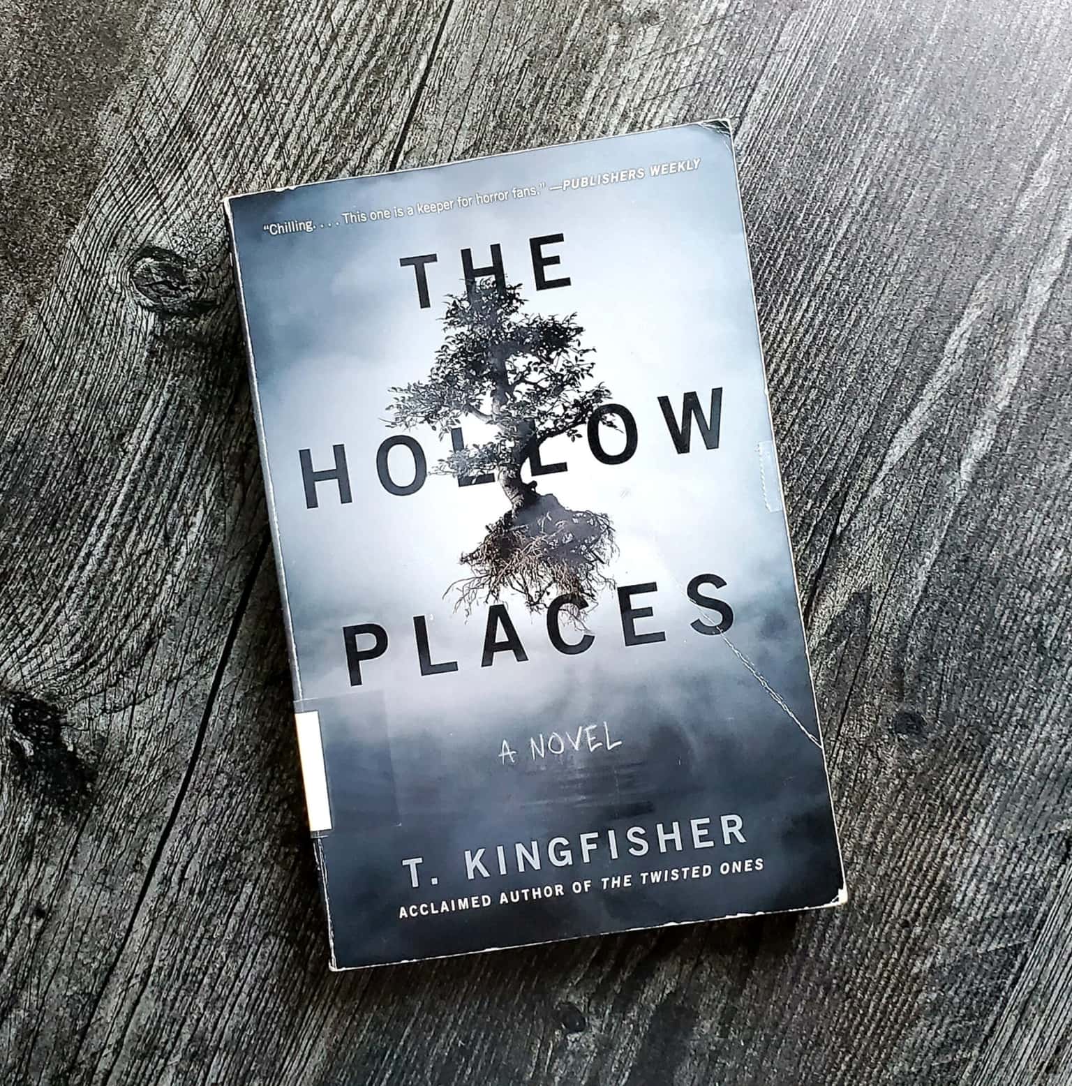 Plots & Pals: Fantasy Book Club - October