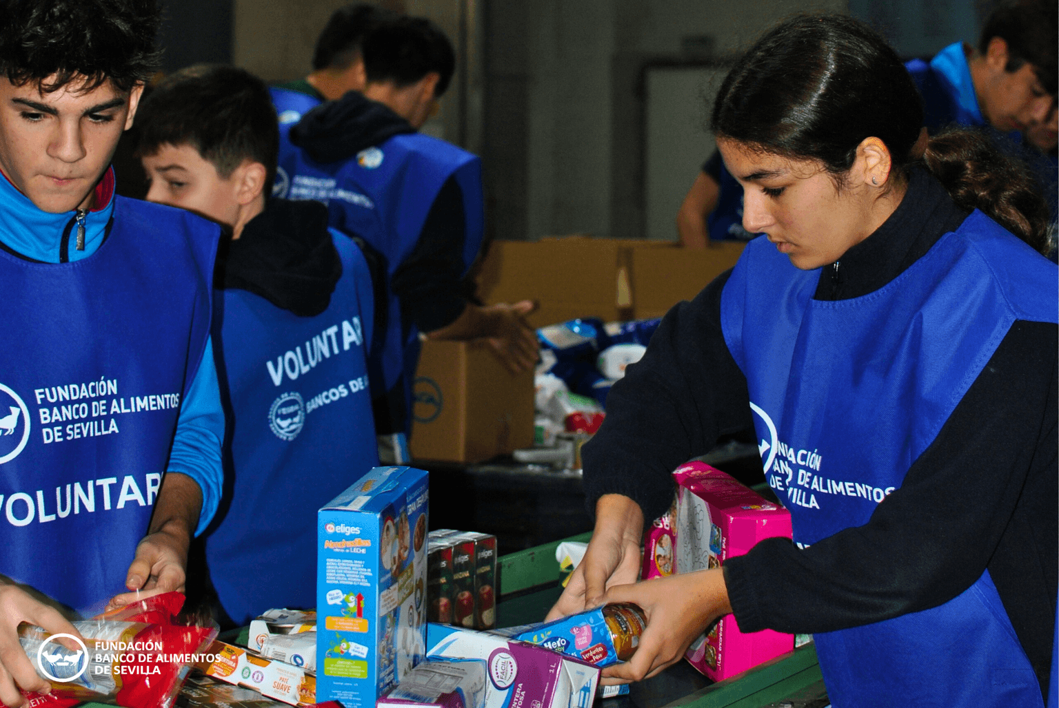 Gran Recogida del Banco de Alimentos: 13 y 14 de nov.