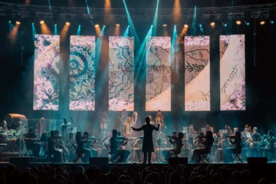 El Señor de los Anillos en concierto