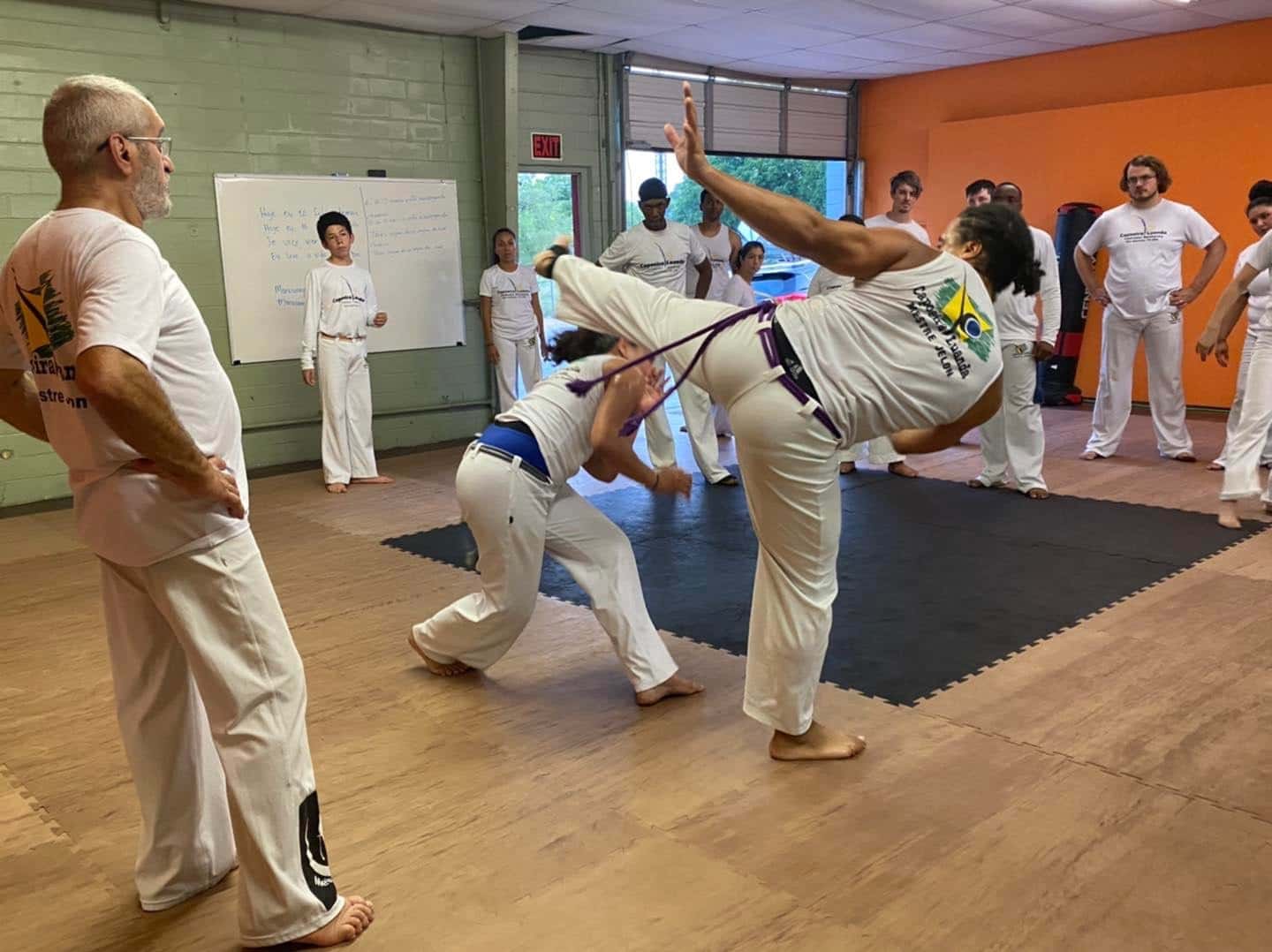 Carver Youth Matinee: Capoeira with Ile Bahia
