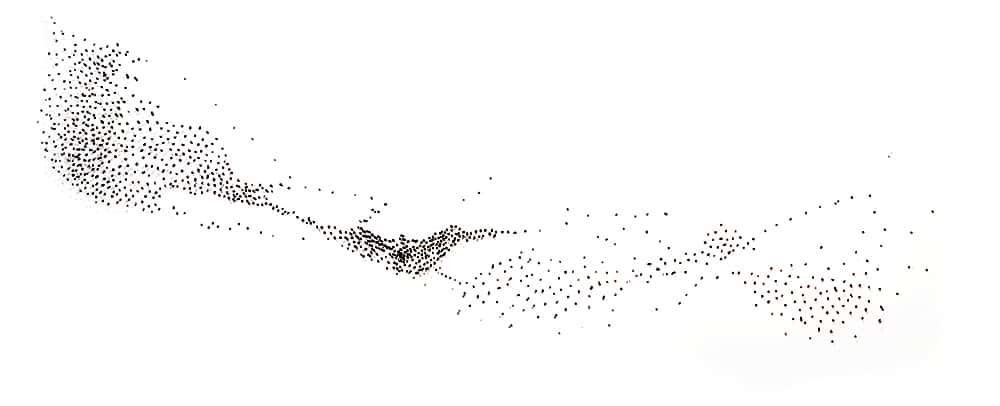 Bennie Flores Ansell: Particle and A Wave