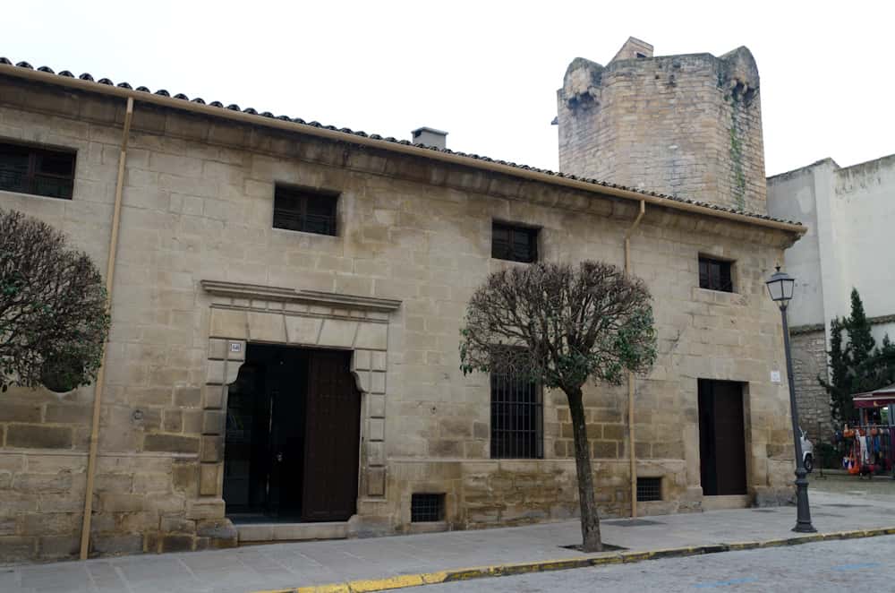 Rutas del Aceite de Jaén: 16 experiencias por el olivar