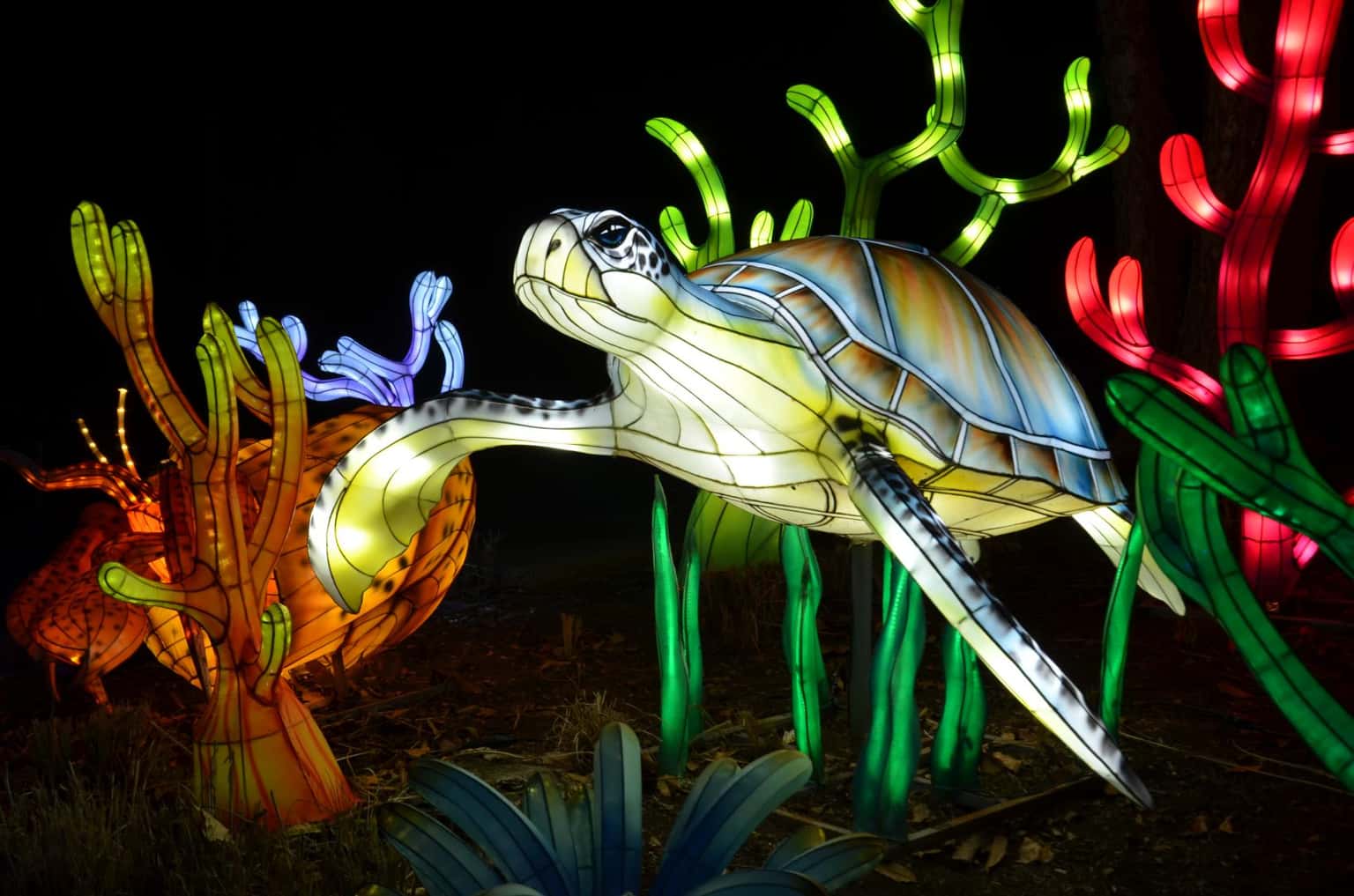 Columbus Zoo's Lantern Festival: a glowing autumn tradition