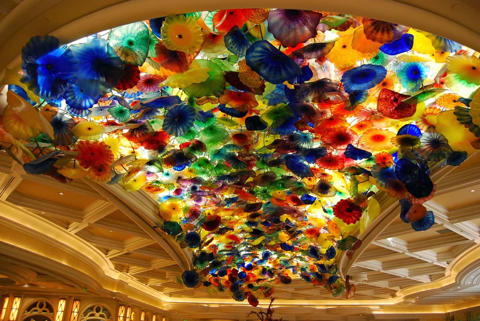 November Chihuly Night