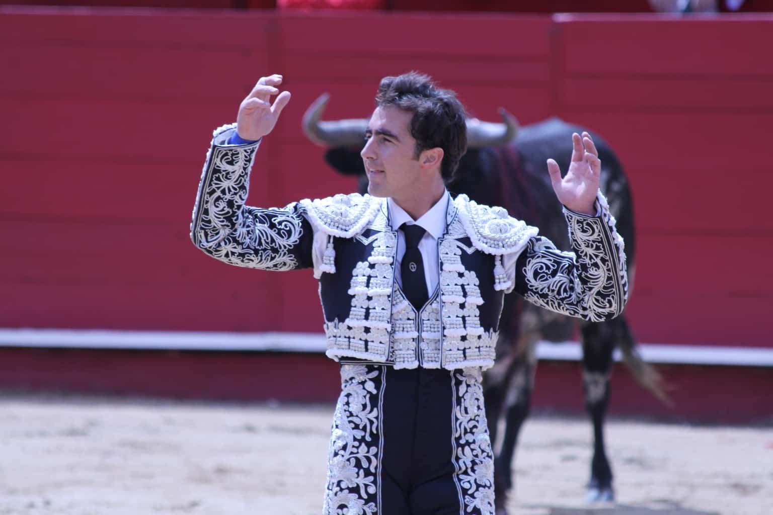 Corrida de toros - toros de El Parralejo